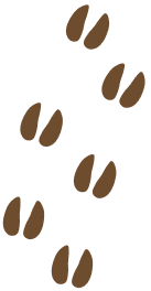 Herten poten afdruk illustratie